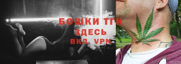 метадон Богданович