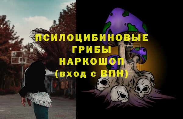 дурь Богородицк