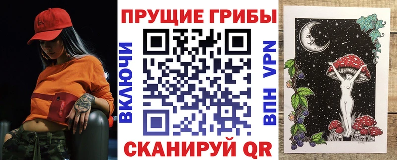 закладки  Поворино  Псилоцибиновые грибы прущие грибы 